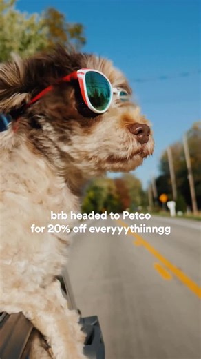 Petco on Instagram: "🍂 Your pet’s fall haul just got better… Get 20% OFF now through 10/19/25. *Minimum $40 purchase. Select exclusions apply. See site for details."