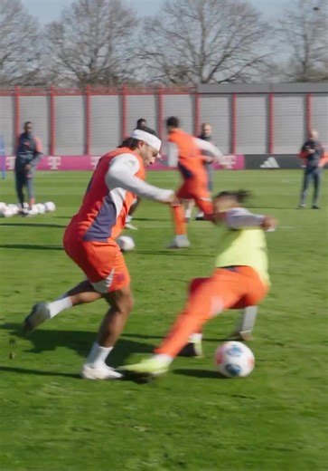 Serge Gnabry NUTMEGGING Michael Olise and giving an assist to Upamecano during Bayern's training