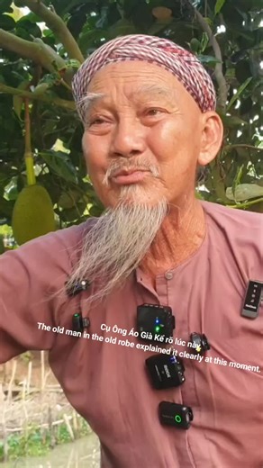 Cụ Ông Áo Già Kể rõ lúc này. The old man in the old robe explained it clearly at this moment. #CuOngAoGia #TikToKVietNamUSA #NhipSongWens