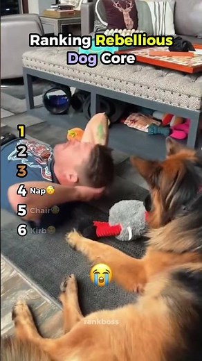 Ranking Rebellious Dog Core Moments