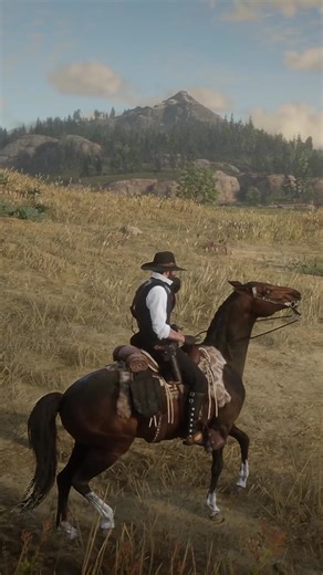 Sela Vaqueiro de Cascavel: Desafio no Red Dead Redemption 2