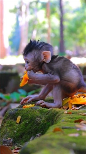 Adorable Little Boy Patch