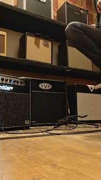 Bad Cat Mod Shop Hot Cat 50 #badcat #chicagomusicexchange