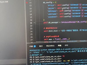 Trae调试Python代码