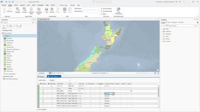 Explore data in ArcGIS Pro