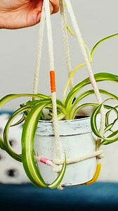 179K views · 426 reactions | This DIY rope planter is easy to make and will brighten up any room! | Crafty | Facebook