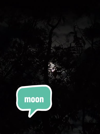 #moon #wolf #hood