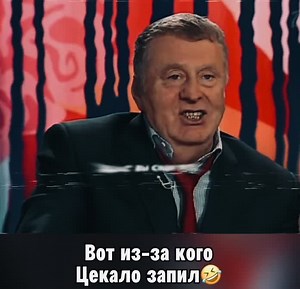 Владимир Вольфович Жириновский on TikTok