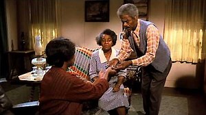 Watch The Waltons Season 6 Episode 20 - The Family Tree