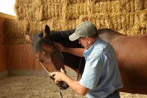 Releasing Tension in the Poll, Neck & Shoulder | Masterson Method