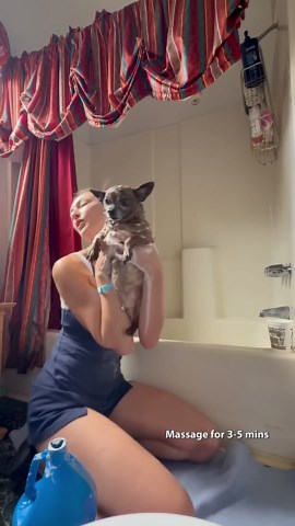 If you’re an animal lover, use ADAMS Plus for fleas, ticks, and an amazing smell!!💕 *not sponsored*