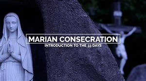 15 reactions · 6 comments | Starting on Nov. 5th, the Diocese is embarking on a Preparation for Total Consecration to Jesus Through Mary modeled after St. Louis de Montfort. Pray along with us and check out our introduction video! #TotalConsecration | Diocese of Columbus | Facebook