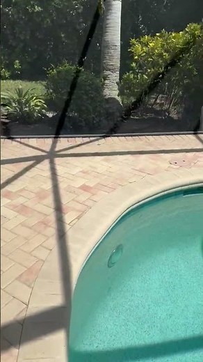 Pool deck brick paver repair. sunken pavers and loose coping #pool #paverrepairs #brickpaverrepairs