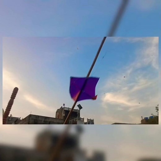 new tricks for kite catching for long sticks #kite