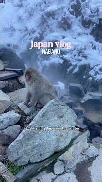 How to get to Jigokudani Monkey Park from Tokyo and what else to do in Yamanouchi, Nagano :)