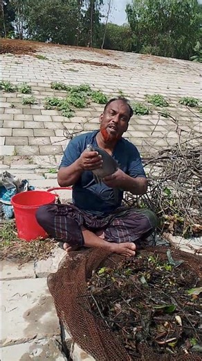 নদী থেকে মাছ ধরলাম #shots #viralvideo