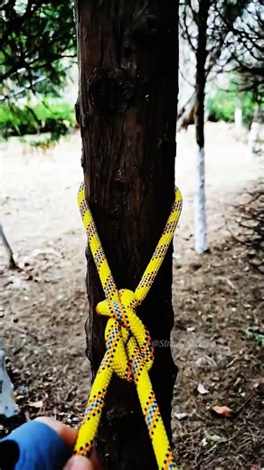 Infinity Grip! 🟡🌲 The 2-Second Figure-8 Loop for Trees