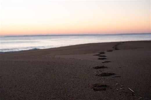 Mass. weather: Record-breaking high temps across state on Tuesday, with snow to follow