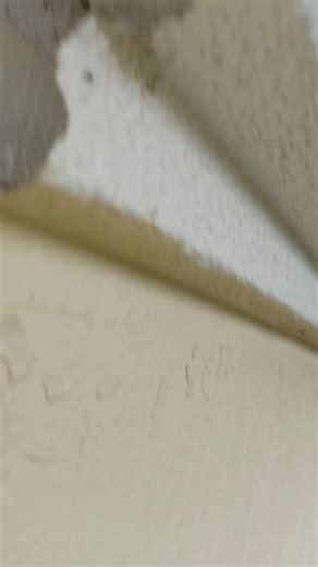 Secrets behind Styrofoam molding | Bee Lady | Facebook