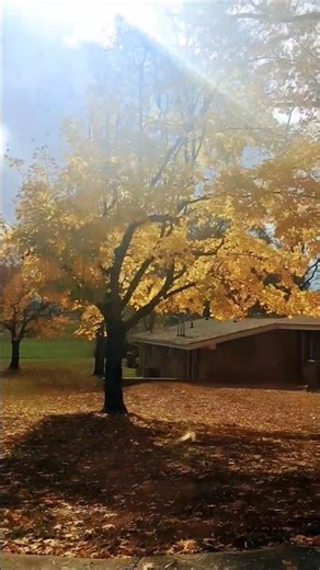 Virtual ride along in tennessee⛰️✨️
