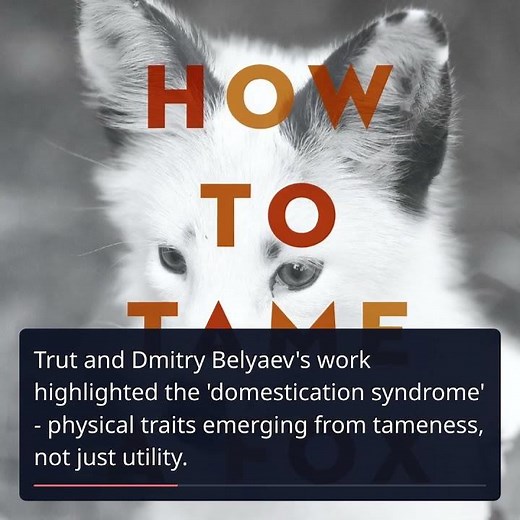 The Legacy of Lyudmila Trut: Taming Evolution with Silver Foxes