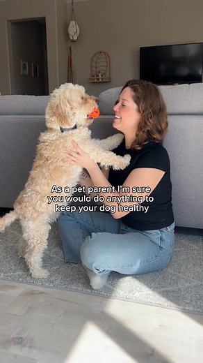 15 reactions | Valvo koirasi elintoimintoja ja pidä se terveenä ja tyytyväisenä. Toimi heti, niin saat 30 % alennusta! | Tractive | Facebook