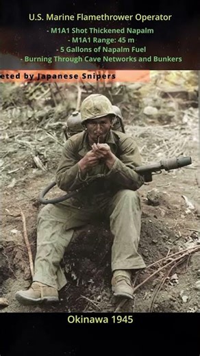 🚬US Marine - Most Dangerous Job in Japan - 1945, WW2 #ww2 #history #marines #war #usarmy #army