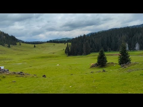 Poiana Ponor → Cătunul Călineasa: One of the Most Beautiful Routes in Apuseni