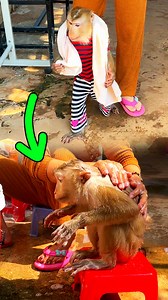 Wake Up In Sunrise, Jaila Take Her Towel For A Warm & Cozy Morning Bath | The Judy Family