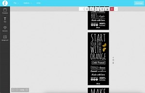 Editable Juice Bottle Label Template, Fresh Juice Label Sticker Design, 12 and 16 Oz, Editable Drink Bottle Labels, Smoothie Label Template - Etsy