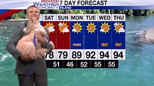 1.2K views · 11 reactions | Who is this adorable dog making a cameo...