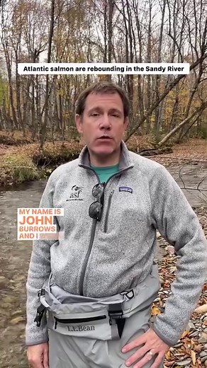 The Sandy River is an improbable salmon stream. It’s not been known for its salmon runs in recent years, and it’s blocked by four dams. But despite all that, biologists say the salmon population is growing in this tributary of the Kennebec. And the river’s cold water could provide a refuge for the endangered species as the climate warms. In this video, shot by reporter @murray_carpenter at the Sandy River, we get a tour of a red from state marine biologist Jennifer Noll and learn from Joh Burrow