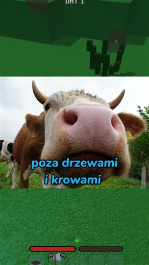 dodałem nowe struktury do mojej gry 🔥 Wbijaj na dc link w opisie