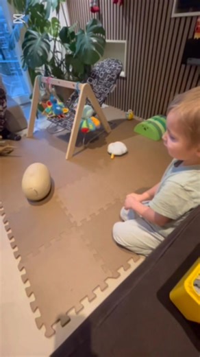 🦖🐣 GIVEAWAAAAAY 🦖🐣 Vind et kæmpe interaktivt udklækkende dinosaur æg med 100 lyde og reaktioner 👉https://barato.dk/products/kaempe-interaktiv-udklaekkende-dinosaur-med-100-lyde-og-reaktioner Alt du skal gøre for at deltage: 👉 Følg Barato.dk 👉 Fortæl hvem der fortjener at vinde 👉 Del gerne opslaget Vinderen trækkes 3/1 Konkurrencen er hverken sponsoreret eller associeret med Facebook, udelukkende Barato.dk | Barato.dk