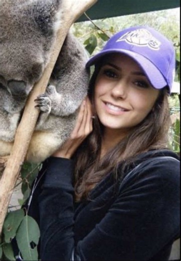 Crocodile Bombardier: Humor Flop in The Vampire Diaries