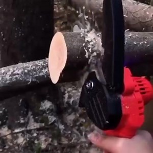 4.7K views · 24 reactions | -21% AKU RUČNA PILA 24V Aku ručna pila...