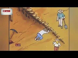 The Magic School Bus ep14