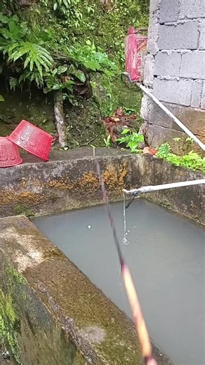 Mancing Ikan: Tips and Techniques for Successful Fishing