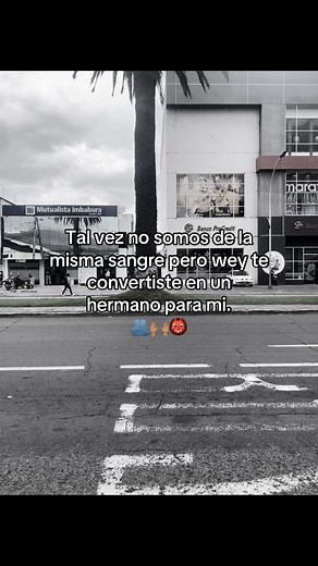 Tal vez no seamos de la misma sangre pero te considero mi hermano