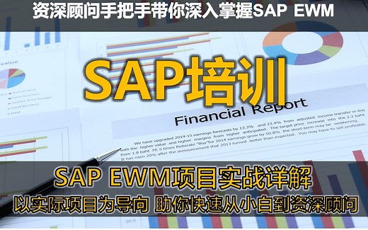 SAP EWM高级培训-EWM项目实施实战详解高级课程（转行做SAP EWM顾问学习这一套就够了）
