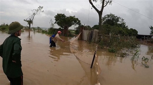 321K views · 3.3K reactions | Những Pha Kích Cá Mùa Bão Lũ Bắt Cá Chép, Cá Trắm Khủng 10 - 15 Kg Để Đời Con Cháu | David Brown ヰ ヰ | Facebook