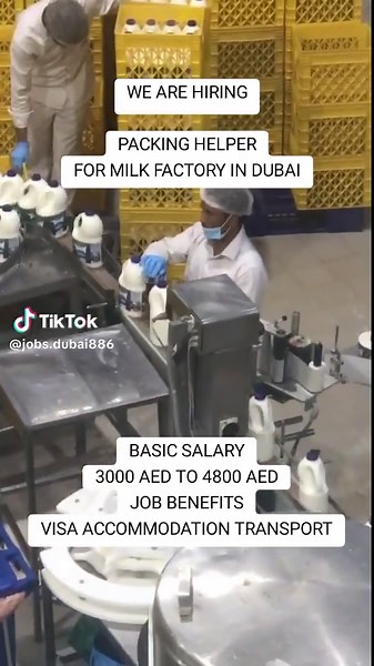 Hiring Packing Helper for Milk Factory in Dubai