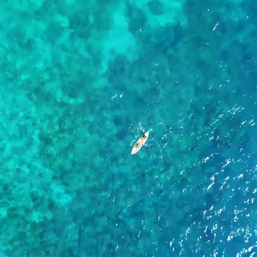 Whether you’re visiting our Kailua-Kona hotel on the Big Island for rest, reinvigoration, or full-out adventure, King Kamehameha Kona Beach Resort is right where you want to be. | Courtyard by Marriott King Kamehameha's Kona Beach Hotel