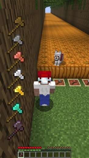 Minecraft Building Tutorial: Axe vs Pumpkin Challenge