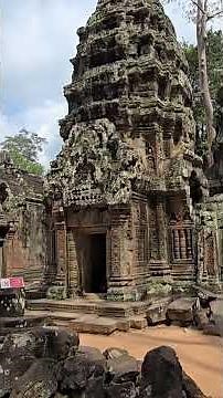 The infamous Tomb Raider temple, Angkor Cambodia