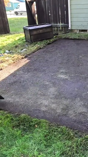 Patio CAKED With DIRT & GARBAGE Gets a TRANSFORMATION! #pressurewashing #satisfying #makeover-003 | Mini Lawncare