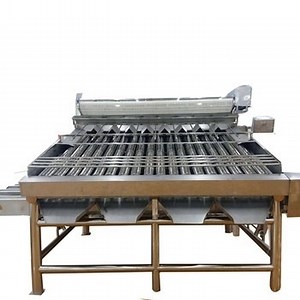 [Hot Item] Shrimp Washing Grading Machine Automatic Shrimp Sorting Machine
