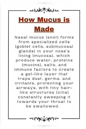 How Mucus is Made?