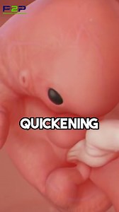 Feeling Baby’s First Kick? What to Expect! 🤰💖 | Pregnancy to parenting