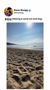 7.1K views · 73 reactions | Making a sand cat and dog.. | Kane Kongg | Facebook